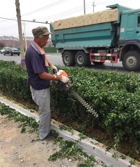 內蒙古園林機械公司綠籬修剪機 內蒙古園林機械公司綠籬修剪機